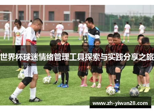 世界杯球迷情绪管理工具探索与实践分享之旅 世界杯球迷情绪管理工具探索与实践分享之旅