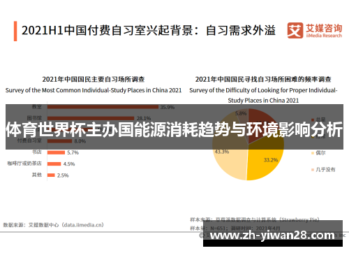 体育世界杯主办国能源消耗趋势与环境影响分析