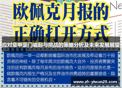应对意甲豪门崛起与挑战的策略分析及未来发展展望 应对意甲豪门崛起与挑战的策略分析及未来发展展望