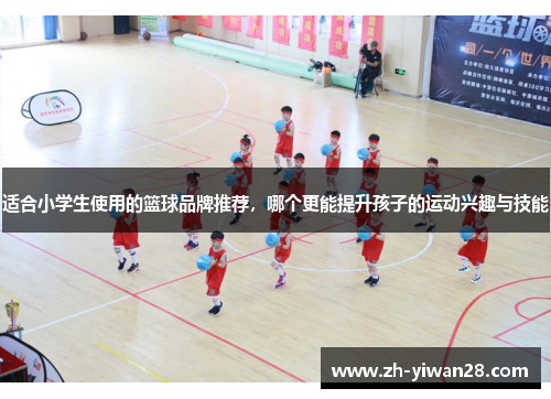 适合小学生使用的篮球品牌推荐，哪个更能提升孩子的运动兴趣与技能