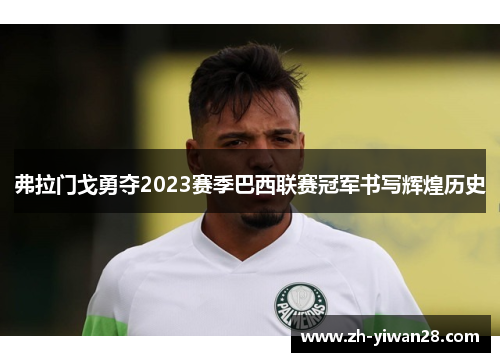 弗拉门戈勇夺2023赛季巴西联赛冠军书写辉煌历史 弗拉门戈勇夺2023赛季巴西联赛冠军书写辉煌历史